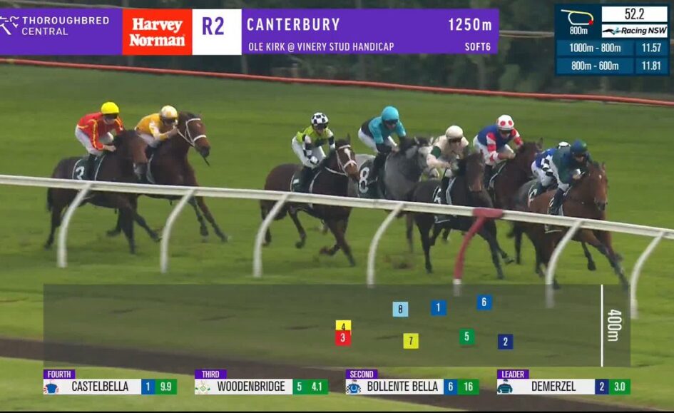 Group of thoroughbred horses racing on a grassy track; broadcast overlay shows race details and horse numbers.