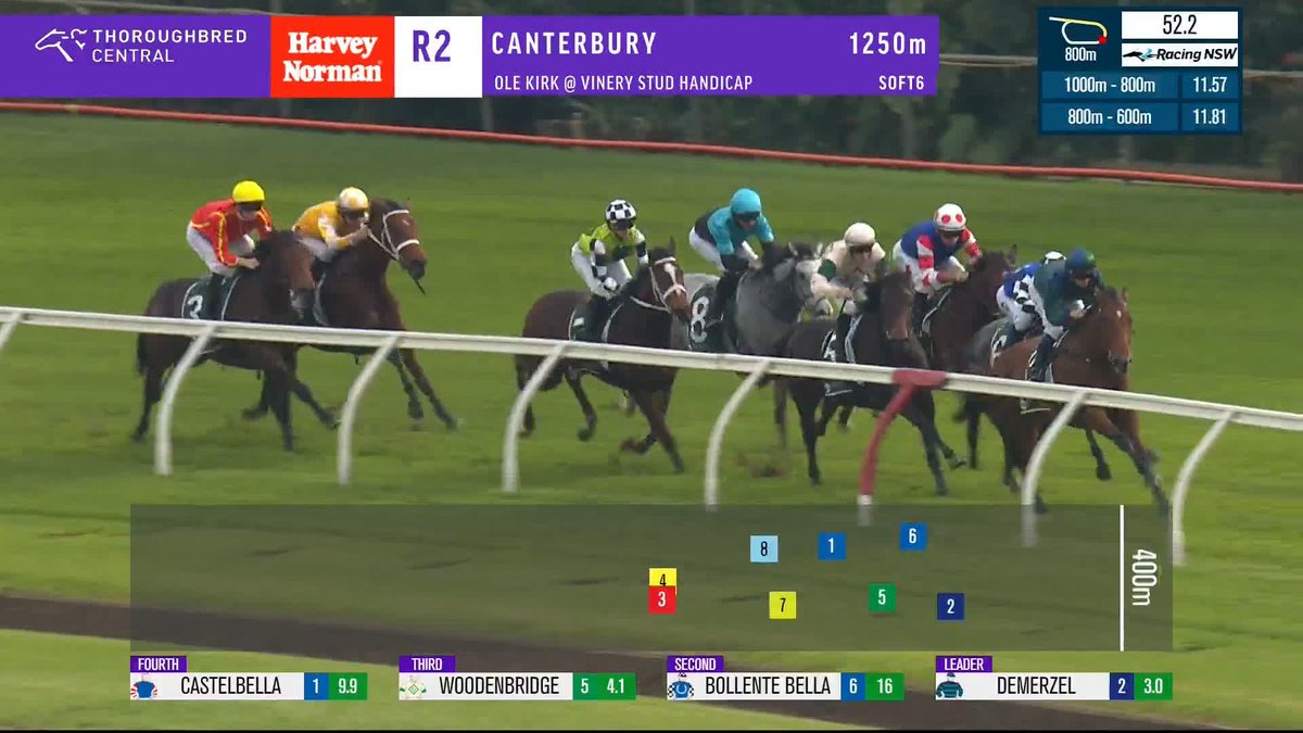 Group of thoroughbred horses racing on a grassy track; broadcast overlay shows race details and horse numbers.