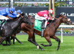 Two jockeys race side by side on thoroughbreds, one in red-and-white silks and the other in blue, on a green turf with sponsor boards behind them.