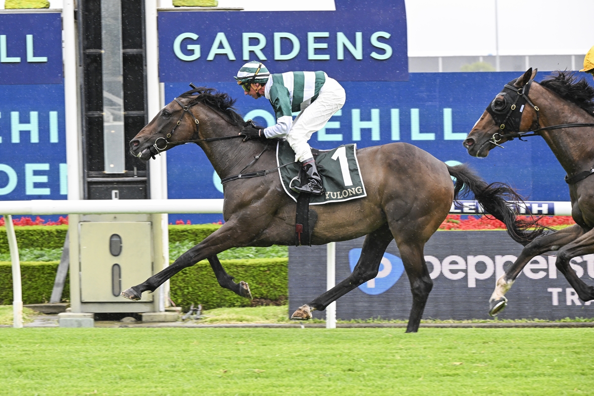Bay racehorse with jockey in green-and-white silks, saddlecloth number 1, galloping on turf with blue signage behind him.
