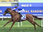 Horse and jockey in blue silks racing at a track; number 2 saddlecloth visible against a blue advertising backdrop.