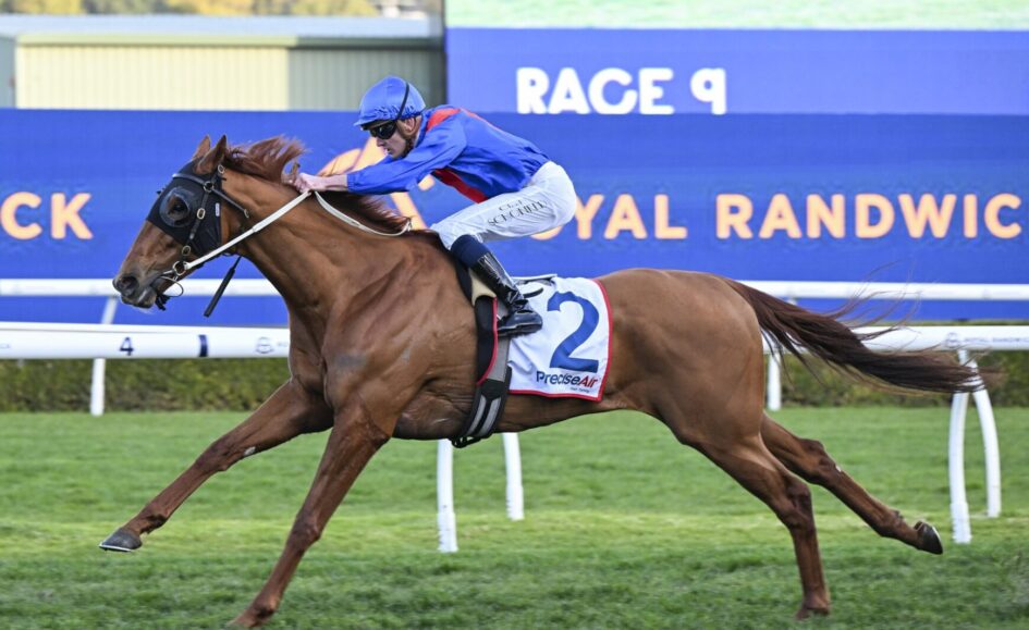 Horse and jockey in blue silks racing at a track; number 2 saddlecloth visible against a blue advertising backdrop.