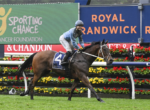 Jockey in blue silks rides a dark bay horse over a low rail at a racecourse, with colorful sponsor banners in the background.