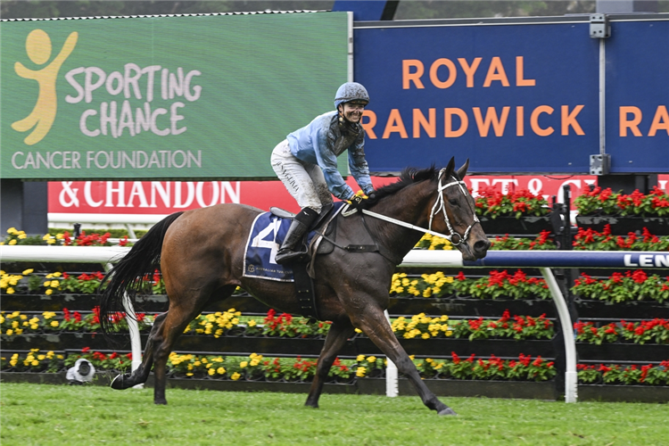 Jockey in blue silks rides a dark bay horse over a low rail at a racecourse, with colorful sponsor banners in the background.