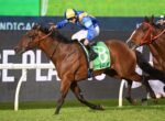 Jockey in blue and yellow silks rides a brown horse with a green number 8 cloth during a race on grass.