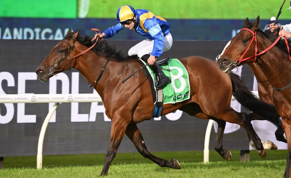 Jockey in blue and yellow silks rides a brown horse with a green number 8 cloth during a race on grass.