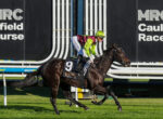Jockey in neon green and maroon silks rides a dark horse during a race at Caulfield, number 9 saddlecloth visible, track advertising in background