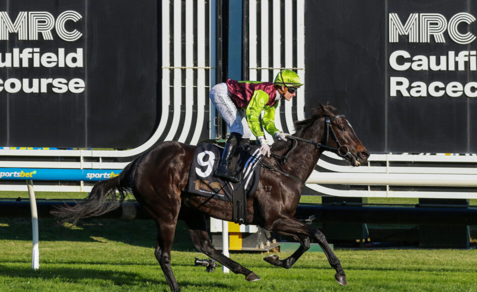 Jockey in neon green and maroon silks rides a dark horse during a race at Caulfield, number 9 saddlecloth visible, track advertising in background