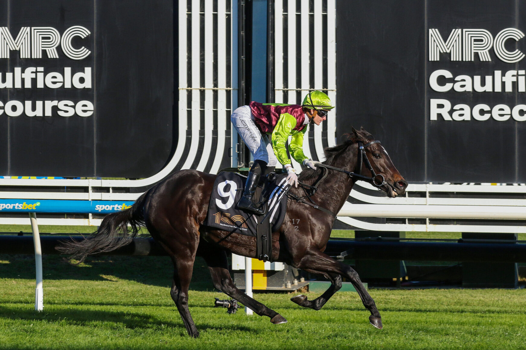 Jockey in neon green and maroon silks rides a dark horse during a race at Caulfield, number 9 saddlecloth visible, track advertising in background