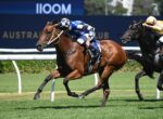 Brown horse in blue and white silks leads a race, jockey leaning forward on a grassy track.
