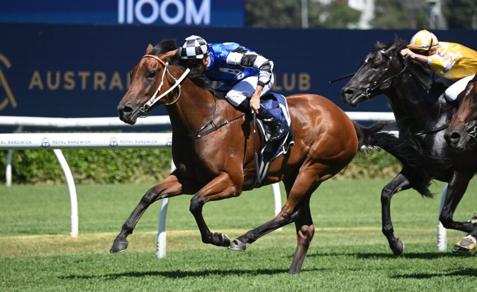 Brown horse in blue and white silks leads a race, jockey leaning forward on a grassy track.