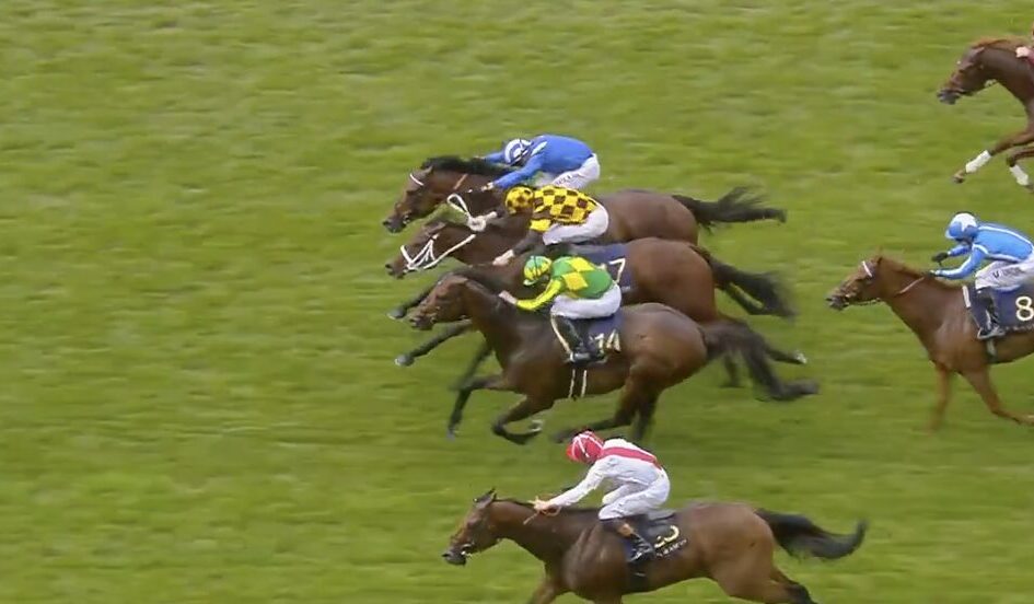 Several thoroughbred horses race neck-and-neck on a green turf as jockeys in bright silks lean forward in a crowded finish.