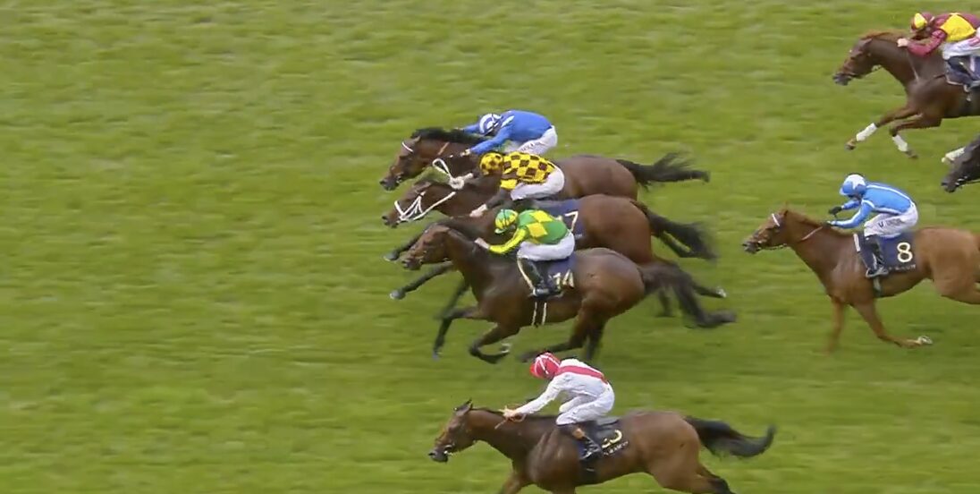 Several thoroughbred horses race neck-and-neck on a green turf as jockeys in bright silks lean forward in a crowded finish.