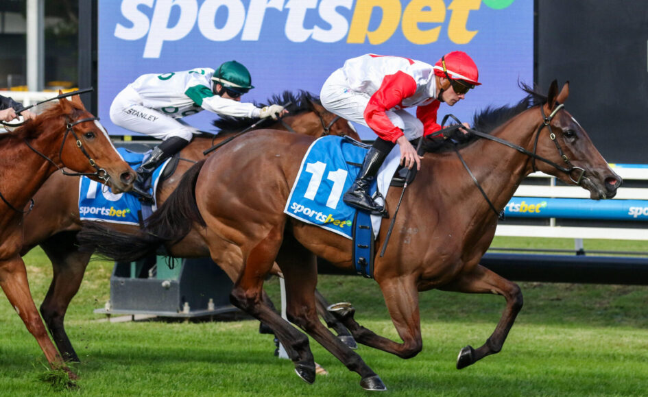 Jockeys race on brown horses; the leading horse wears blue saddlecloth with number 11 under a sportsbet banner backdrop, red and white silks visible on the jockeys.