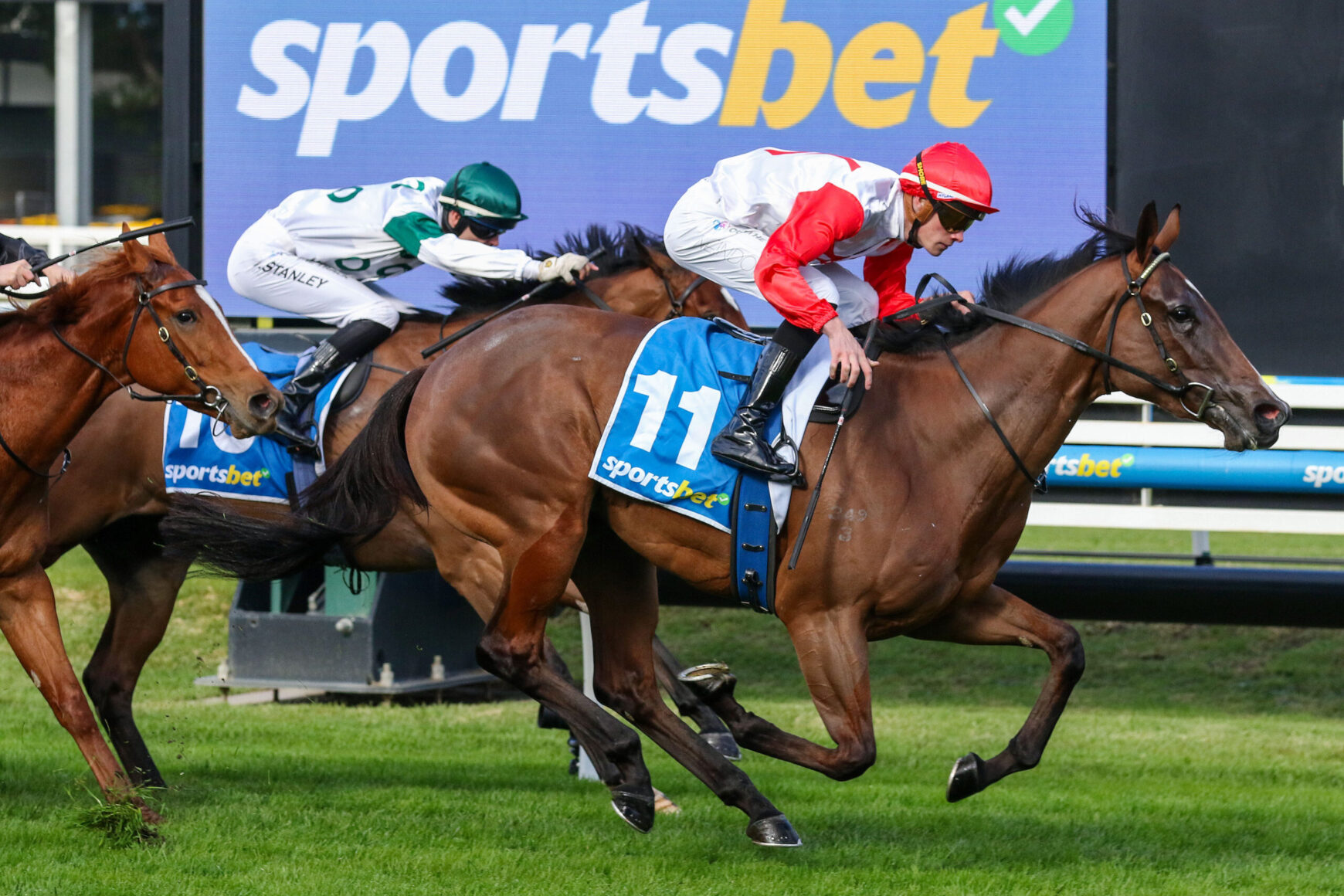 Jockeys race a group of horses on a track, foreground horse wearing blue bib with number 11, red and green silks visible.