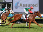 Two jockeys race a pair of galloping horses on a green Track, with a large Assured Insurance Brokers sign in the background.