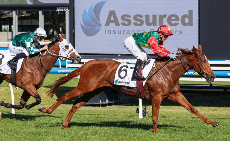 Two jockeys race a pair of galloping horses on a green Track, with a large Assured Insurance Brokers sign in the background.