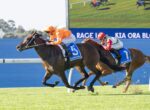 Two jockeys race side by side on sprinting horses, orange and red silks on a sunny grass racetrack.",