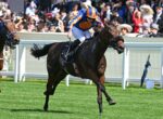 Jockey in blue and orange silks leans forward on a dark horse racing at full gallop, with a cheering crowd in the stands behind.