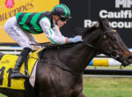Jockey in green and black silks leans forward on a dark horse with a yellow saddlecloth labeled 11 during a race.