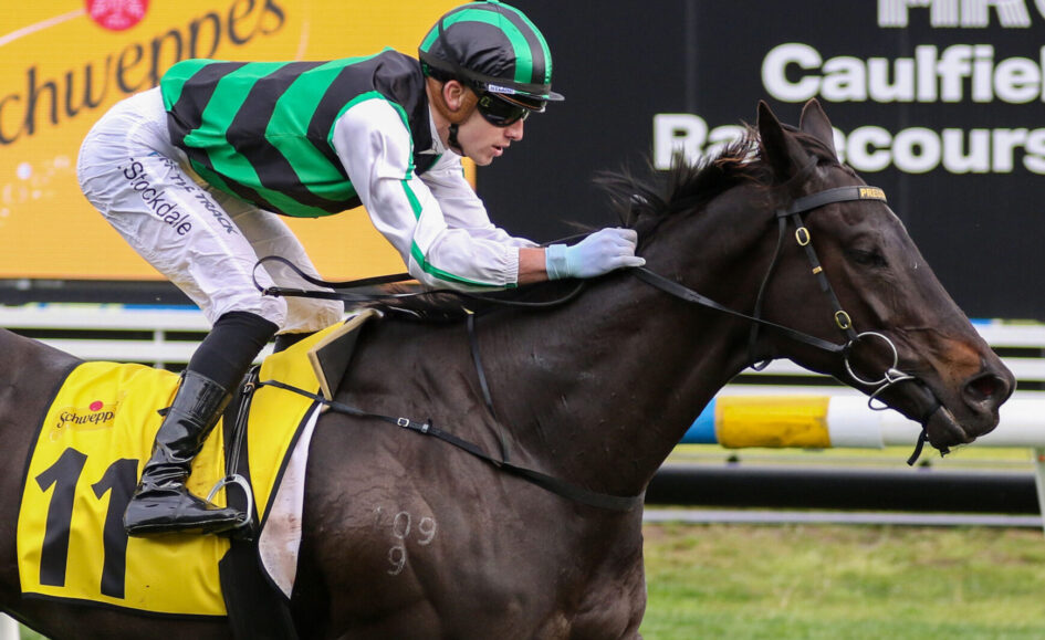 Jockey in green and black silks leans forward on a dark horse with a yellow saddlecloth labeled 11 during a race.