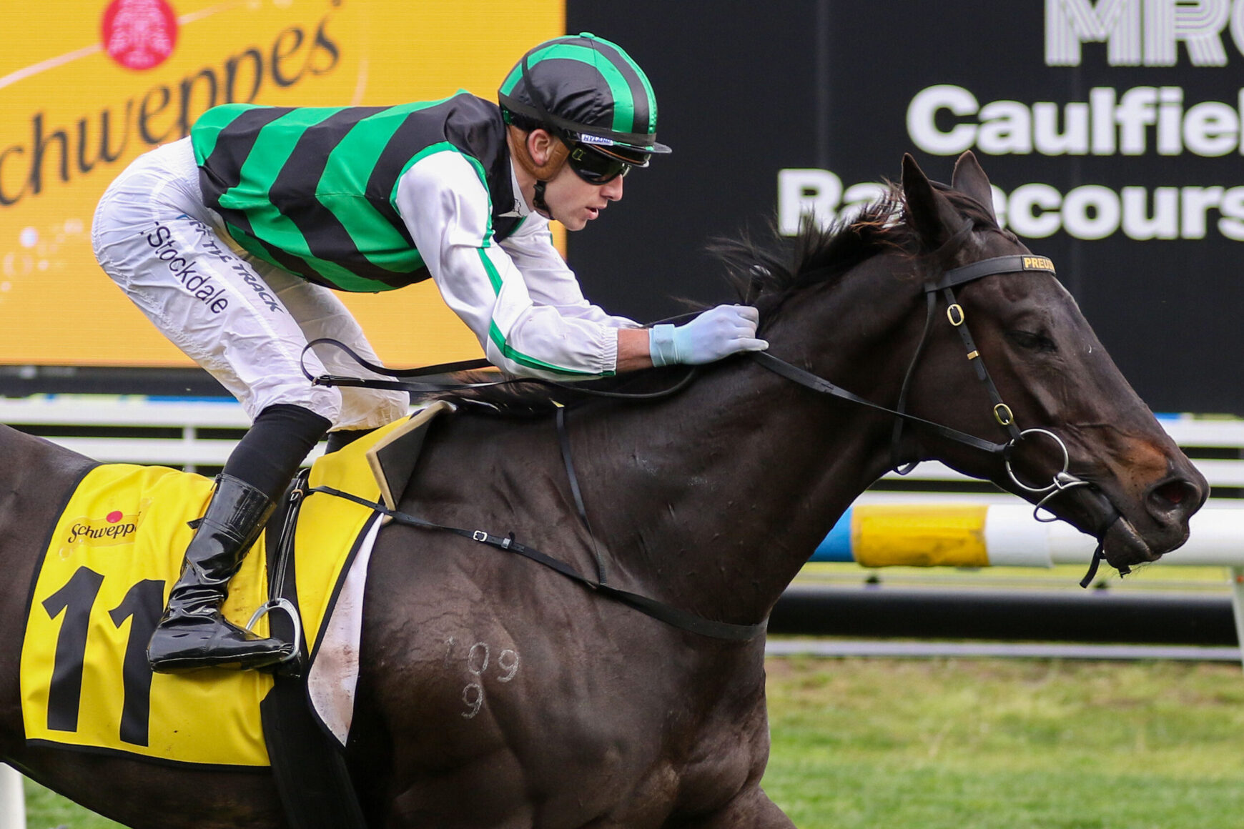 Jockey in green and black silks leans forward on a dark horse with a yellow saddlecloth labeled 11 during a race.