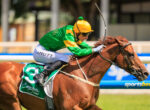 Jockey in green and yellow silks riding a brown horse mid-race, with a curved whip raised, on a sunny track.