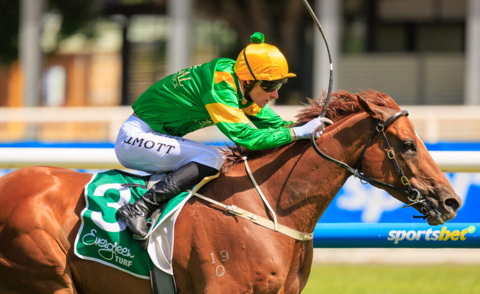 Jockey in green and yellow silks riding a brown horse mid-race, with a curved whip raised, on a sunny track.