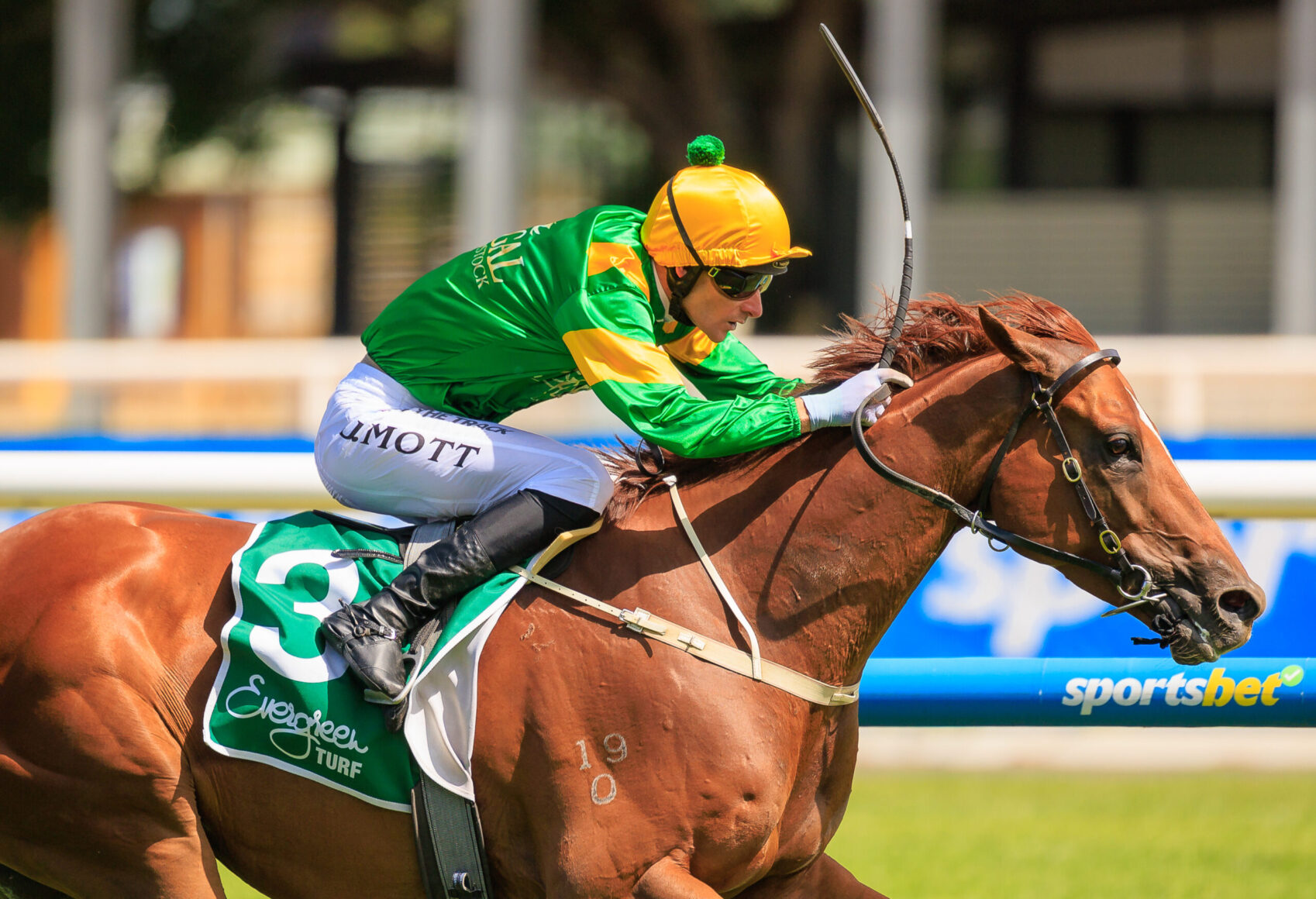 Jockey in green and yellow silks riding a brown horse mid-race, with a curved whip raised, on a sunny track.