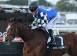 Jockey in blue-and-white checkered silks rides a brown horse with a white blaze in a horse race, number 1 saddle cloth visible.