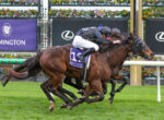 Two jockeys ride racing horses neck-and-neck on the Flemington track with colorful flower barriers in the background.