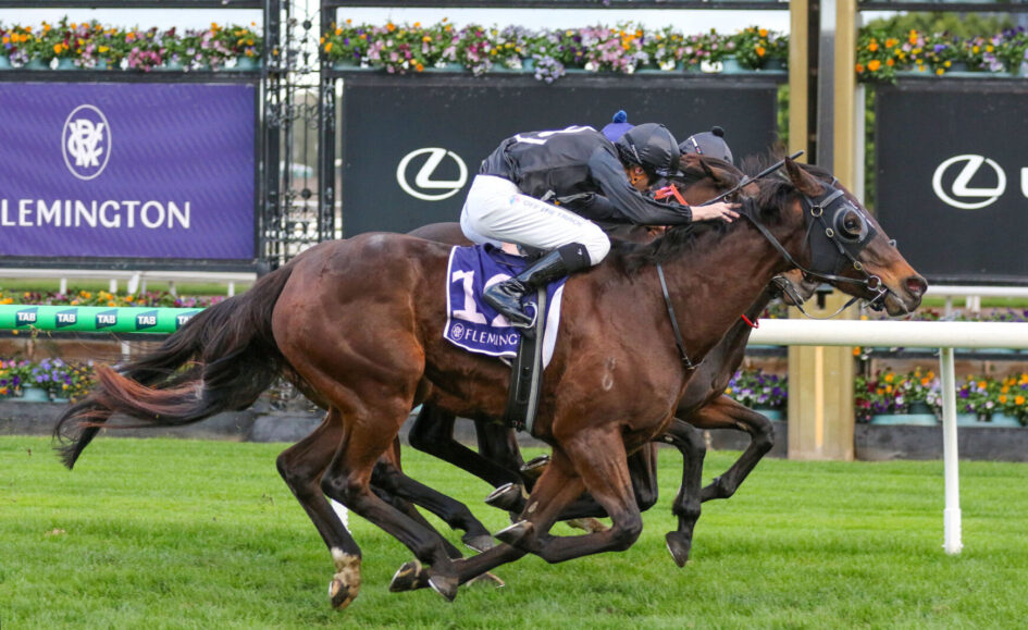 Two jockeys ride racing horses neck-and-neck on the Flemington track with colorful flower barriers in the background.