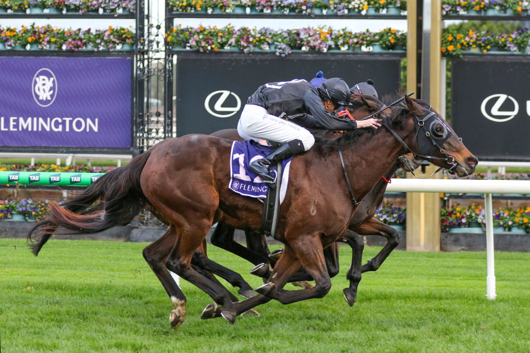 Two jockeys ride racing horses neck-and-neck on the Flemington track with colorful flower barriers in the background.