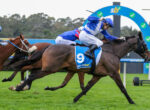 Jockeys race on Thoroughbreds, leaning forward as they sprint toward the finish on a green turf course.