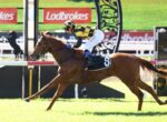 Jockey in yellow-and-black checkered silks rides a brown horse jumping over a hurdle at a racecourse, Ladbrokes banners in the background.