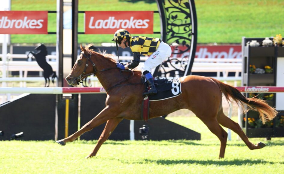 Jockey in yellow-and-black checkered silks rides a brown horse jumping over a hurdle at a racecourse, Ladbrokes banners in the background.