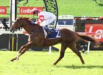 Jockey in red-and-white silks riding a brown racehorse over a hurdle on a sunny grass track, with Ladbrokes banners in the background.