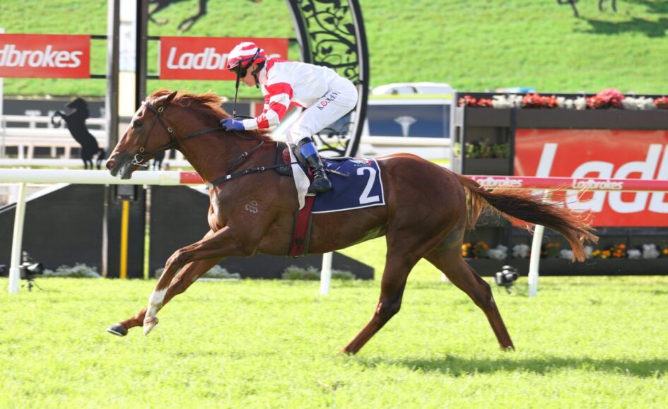 Jockey in red-and-white silks riding a brown racehorse over a hurdle on a sunny grass track, with Ladbrokes banners in the background.