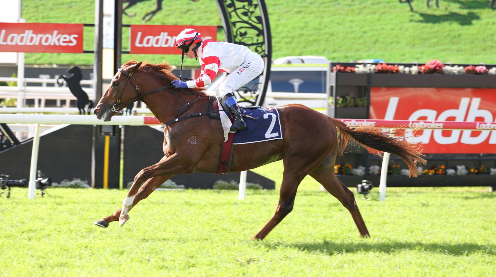 Jockey in red-and-white silks riding a brown racehorse over a hurdle on a sunny grass track, with Ladbrokes banners in the background.