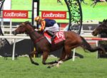 Jockey in a yellow-and-red cap leads a chestnut horse wearing a red saddlecloth labeled 'SPICY MARTINI' on a grassy racecourse with Ladbrokes banners in the background, mid-sprint.
