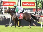 Jockey in green silks rides a thoroughbred over a hurdle at a Ladbrokes event, saddle cloth shows number 3 with Ladbrokes logo in the background.