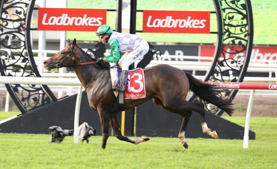 Jockey in green silks rides a thoroughbred over a hurdle at a Ladbrokes event, saddle cloth shows number 3 with Ladbrokes logo in the background.
