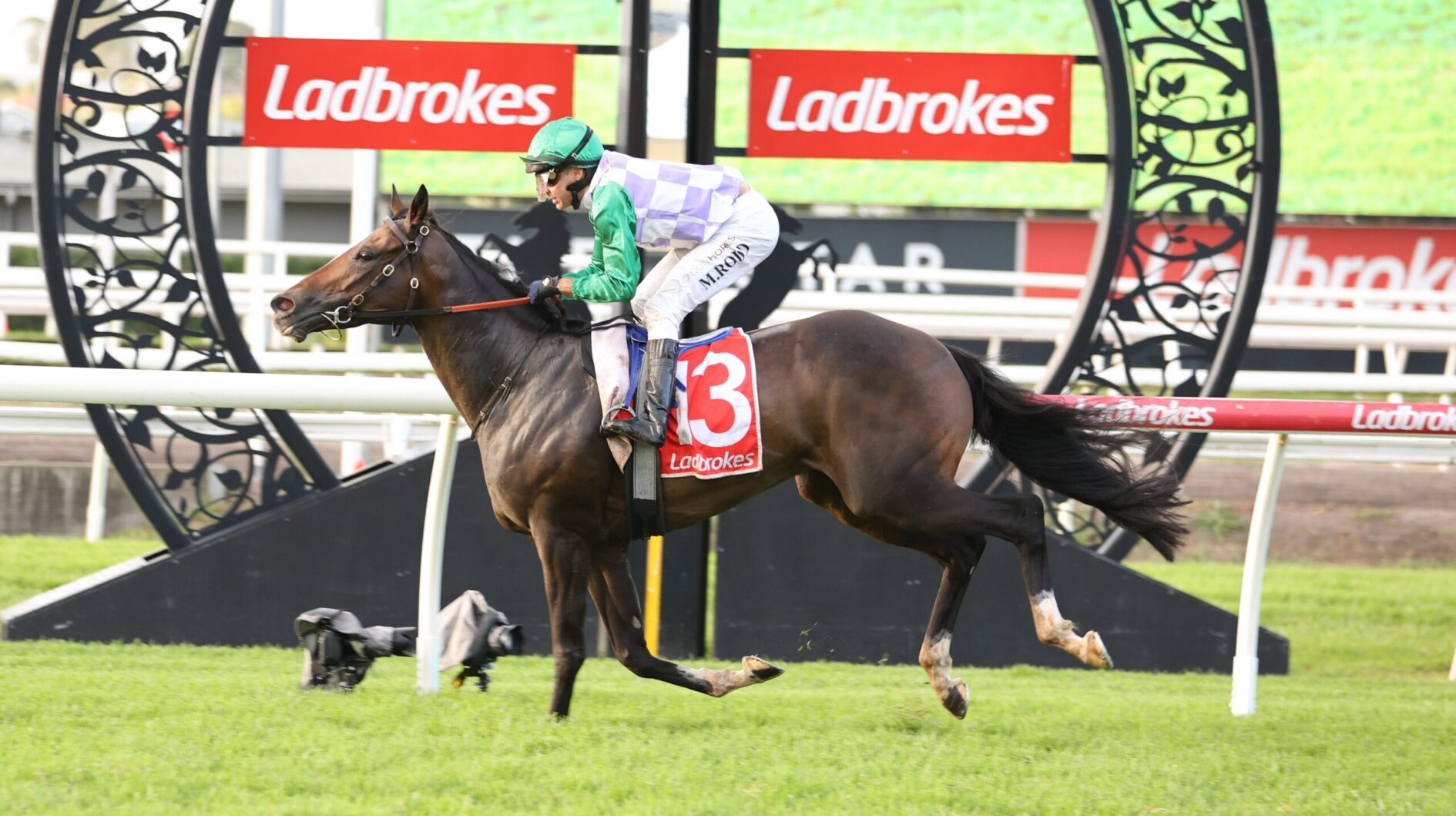 Jockey in green silks rides a thoroughbred over a hurdle at a Ladbrokes event, saddle cloth shows number 3 with Ladbrokes logo in the background.