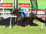 Horse and jockey mid-jump during a race at a Ladbrokes sponsored track.