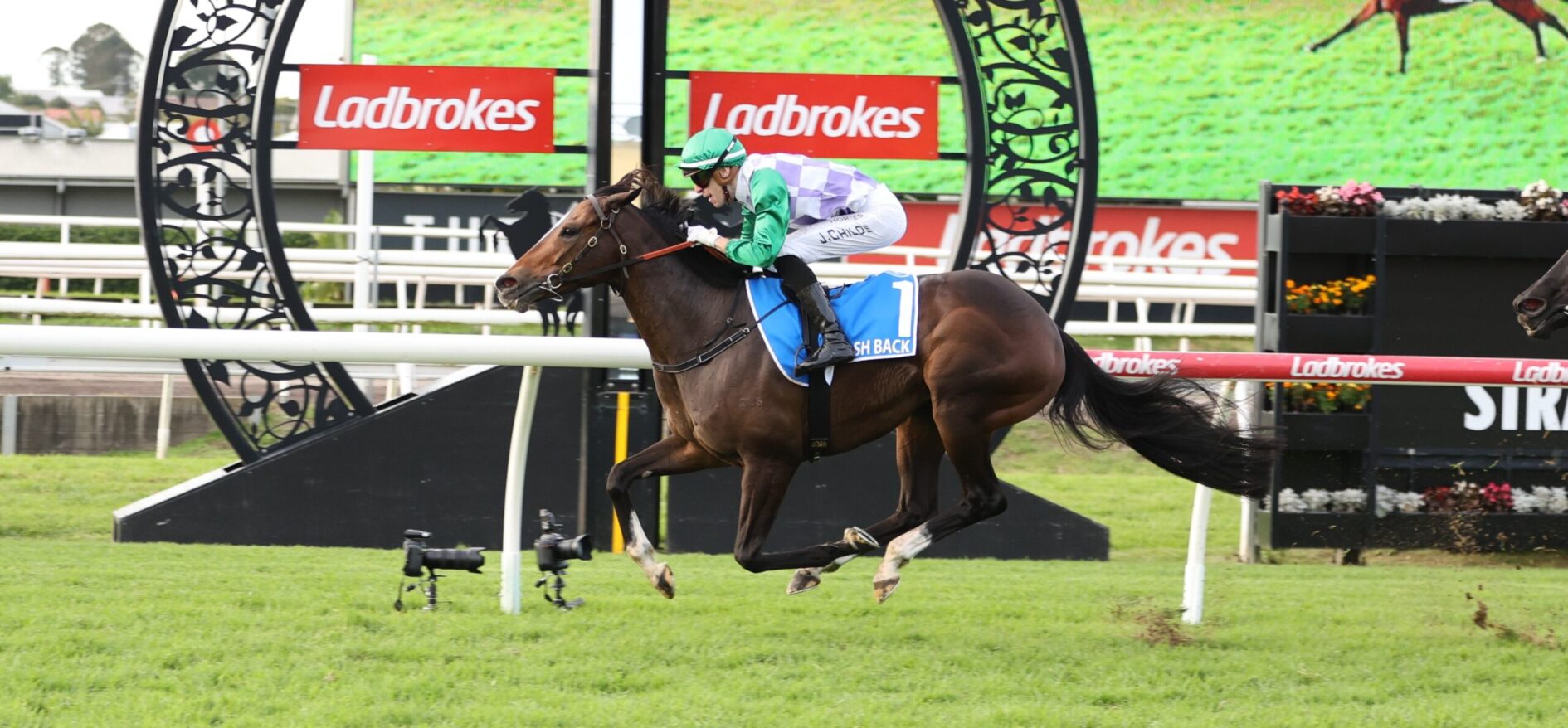 Horse and jockey mid-jump during a race at a Ladbrokes sponsored track.