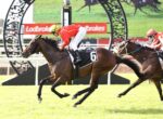 Leading horse and jockey in red and yellow silks (number 6) sprint on a grassy racetrack, fellow rider close behind.