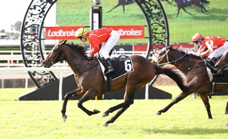 Leading horse and jockey in red and yellow silks (number 6) sprint on a grassy racetrack, fellow rider close behind.