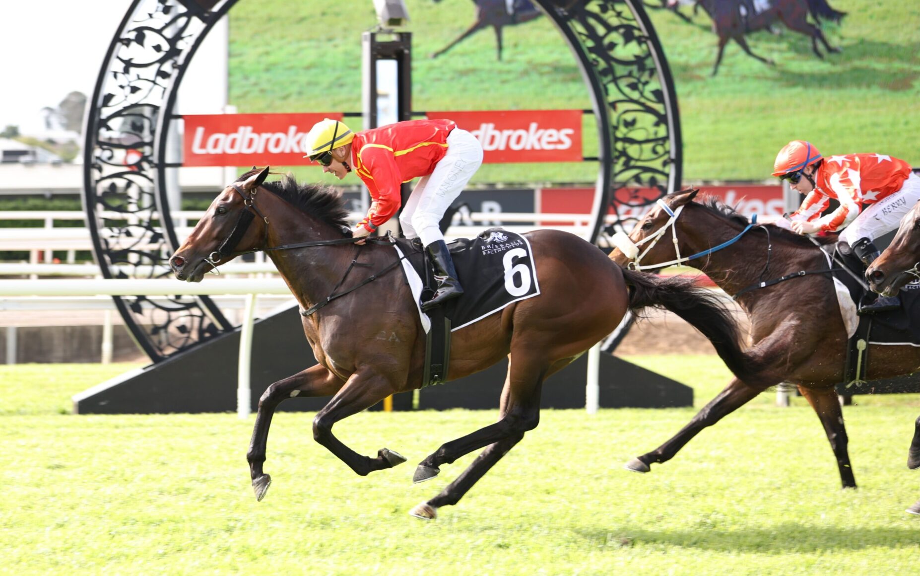 Leading horse and jockey in red and yellow silks (number 6) sprint on a grassy racetrack, fellow rider close behind.