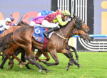 Close-up of a horse race in progress: a brown horse with a neon-lime and maroon-clad jockey leads, others close behind on colorful silks.