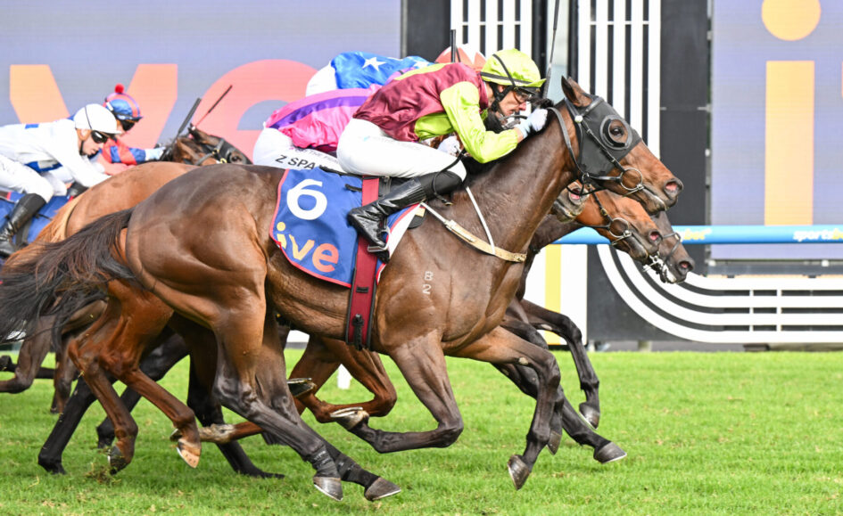 Close-up of a horse race in progress: a brown horse with a neon-lime and maroon-clad jockey leads, others close behind on colorful silks.